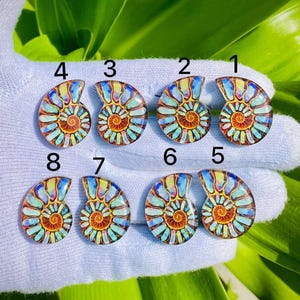 Peut inclure: Huit cabochons de fossiles d'ammonites colorés avec un motif en spirale dans les tons de bleu, jaune et marron. Les cabochons sont présentés sur une surface blanche, avec un feuillage vert en arrière-plan. Chaque cabochon est numéroté de 1 à 8.