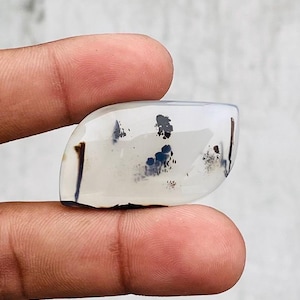 May include: A polished, oval-shaped gemstone with a translucent white base. The stone features dark gray and black dendritic inclusions, resembling small tree-like patterns. Two dark lines run along the edges.