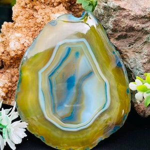 Può includere: Una fetta di agata lucidata caratterizzata da bande concentriche di colore giallo senape, bianco traslucido e blu vibrante. La pietra presenta una superficie liscia e lucida con un bordo esterno naturale e irregolare, che mostra strati minerali.