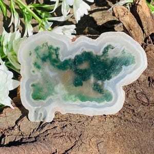 May include: A polished agate slice with a unique, organic shape. The stone features a central area of deep green hues, surrounded by a white and translucent border. The agate is displayed on a textured, brown surface, with white flowers in the background.