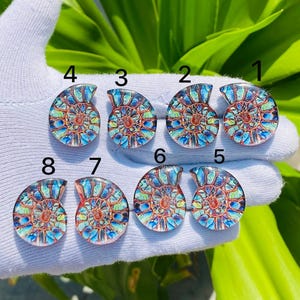Puede incluir: Ocho cabujones de fósiles de amonita pulidos, cada uno con un patrón único de azules, verdes y rojos. Los cabujones se muestran sobre un guante blanco, con follaje verde en el fondo. Los cabujones están numerados del 1 al 8.