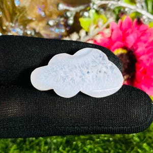 Könnte beinhalten: Ein wolkengroßer, polierter Edelstein mit weißem und hellblauem Muster. Der Stein wird vor einem schwarzen Hintergrund gehalten, mit einer leuchtend rosa Blume und grünem Laub im Hintergrund. Für Schmuck oder Dekoration.