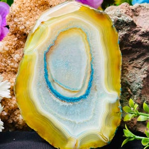 Può includere: Una fetta di agata lucidata con bande concentriche di giallo vibrante, bianco e azzurro traslucido. Il centro presenta una consistenza cristallina circondata da un distinto anello blu brillante, che mostra formazioni minerali naturali.