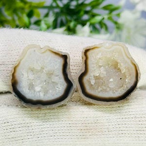 May include: Two agate stone slices, each with a white crystalline centre and a dark brown border. The stones are set against a white fabric background, with green foliage visible in the background.
