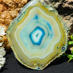 Può includere: Una fetta di agata lucidata con bande concentriche di giallo vibrante, crema pallido e blu brillante. Il centro mostra un nucleo blu intenso circondato da anelli bianchi e gialli, con una consistenza cristallina traslucida e un bordo irregolare.