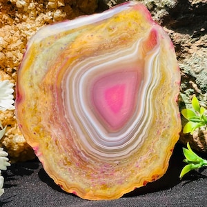 Op de afbeelding: Een gepolijste agaatplak met concentrische banden in levendig roze, wit en goudgeel. De doorschijnende steen toont een diep magenta centrum omringd door gelaagde ringen van variërende dikte, met een natuurlijke, onregelmatige buitenrand.