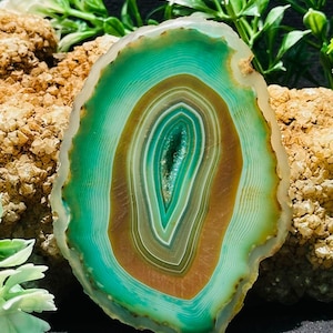 Op de afbeelding: Een gepolijste agaat schijf met concentrische banden van groen, bruin en wit. De edelsteen heeft een natuurlijke, organische vorm en een doorschijnende kwaliteit. De buitenrand is licht, met een donkere, bijna zwarte kern in het midden.