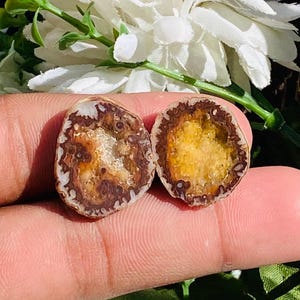 以下が含まれることがあります： 茶色と白の模様の外観とキラキラした内側が特徴の、2つの半分のジオード。片方は黄色と金の中心部、もう片方は白と茶色の中心部。ジオードの半分は手で持たれています。