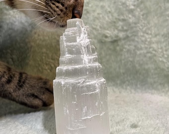 May include: A clear, tower-shaped selenite crystal. The crystal has a layered appearance and a rough texture. The image shows a cat sniffing the crystal. The background is a soft, light green colour.