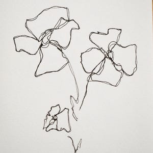 Serie Matilija Poppy - Disegno, inchiostro su carta 5x7 pollici 002/100
