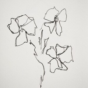 Matilija Poppy Series - Drawing, Ink on Paper 5x7 inches 003/100