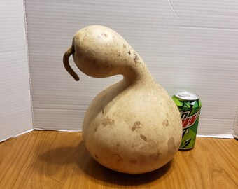 Dried swan gourd