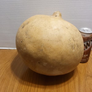 Dried round gourd