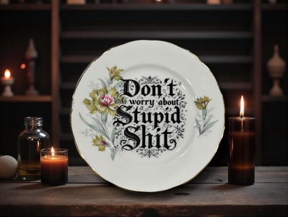 Don’t Worry About Stupid Shit Vintage Plate 16cm Funny Rude Decorative Plate Sarcastic Wall Decor Gothic Humour Plate Crackpottery