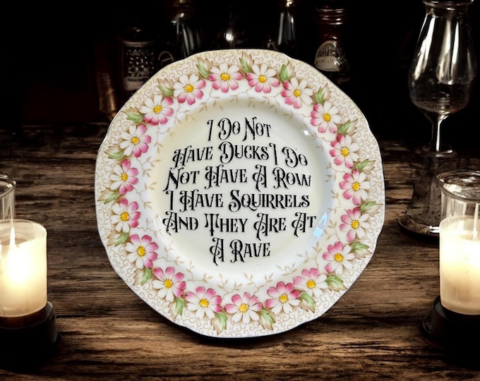 I do not have ducks, i do not have a row, I have squirrels and they're at a rave, vintage plate with stand