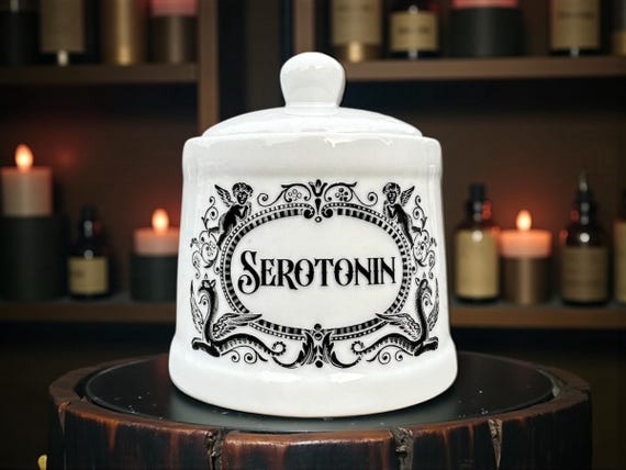 Serotonin Ceramic Jar | Funny Mental Health Decor | Statement Storage | Novelty Gift