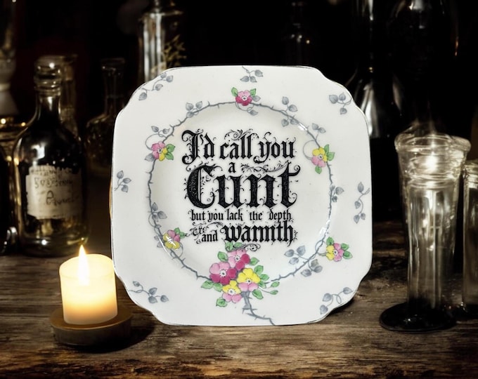 I'd call you a cunt but you lack the depth and warmth, vintage plate with stand