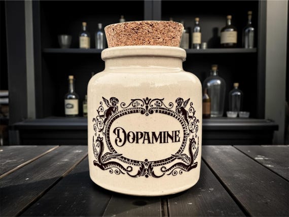 Unrealistic Expecations Stoneware Jar | Funny Statement Storage | Humorous Home Decor | Novelty Gift