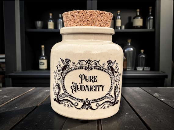 Pure Audacity Stoneware Jar | Funny Statement Storage | Humorous Home Decor | Novelty Gift