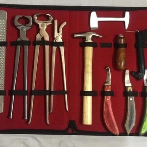 10PCS Professional Equine Farrier Tool Kit Nipper Driving Hammer Clincher Hoof Knives Buffer Hoof Trimming Horseshoeing Tools with Carry Bag