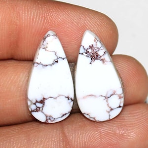Wild Horse pair A one Quality 100% Natural Wild Horse pair Loose Gemstones for Making Jewelry 23x12x4 MM Weight 20 code M-265