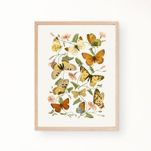 Butterfly Wall Art, boho butterflies, printable art, digital print, girl&#39;s room decor, modern, retro, vintage decor, boho girl&#39;s nursery