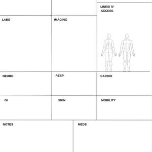 May include: A blank medical chart with sections for patient details, such as diagnosis and notes. The chart includes anatomical diagrams and is designed for recording medical information.