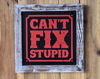 Can't Fix Stupid Home Decor Humor, Rustic Wood Frame, Hand Stenciled with Chalk Paint