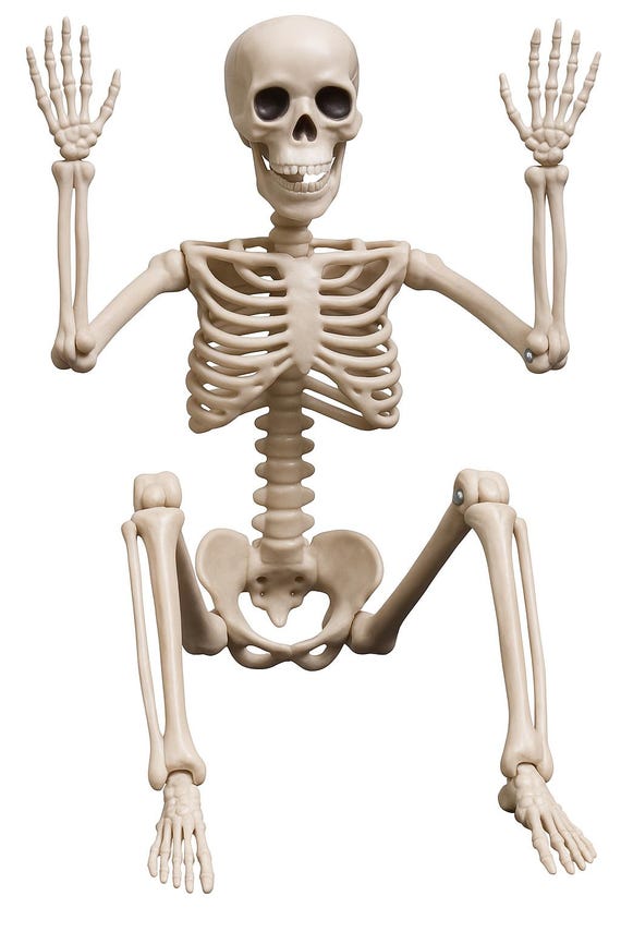 Poseable Skeletons – 16" Full Body Halloween Skeleton Decor for Indoor & Outdoor Spooky Party, Haunted House, Yard, Garden, Patio Decoration