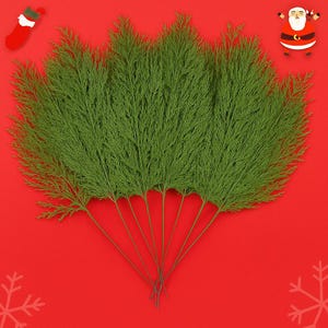 May include: A collection of green artificial fern stems, arranged in a fan shape, against a vibrant red background. Festive holiday decorations, with a Santa Claus figure and a Christmas stocking in the corners. Perfect for seasonal crafts and decor.