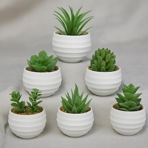 Puede incluir: Seis pequeñas suculentas artificiales en macetas de cerámica blancas y acanaladas. Las suculentas varían en forma y textura, con tonos verdes. Las macetas están dispuestas sobre una superficie gris claro, creando una estética minimalista.