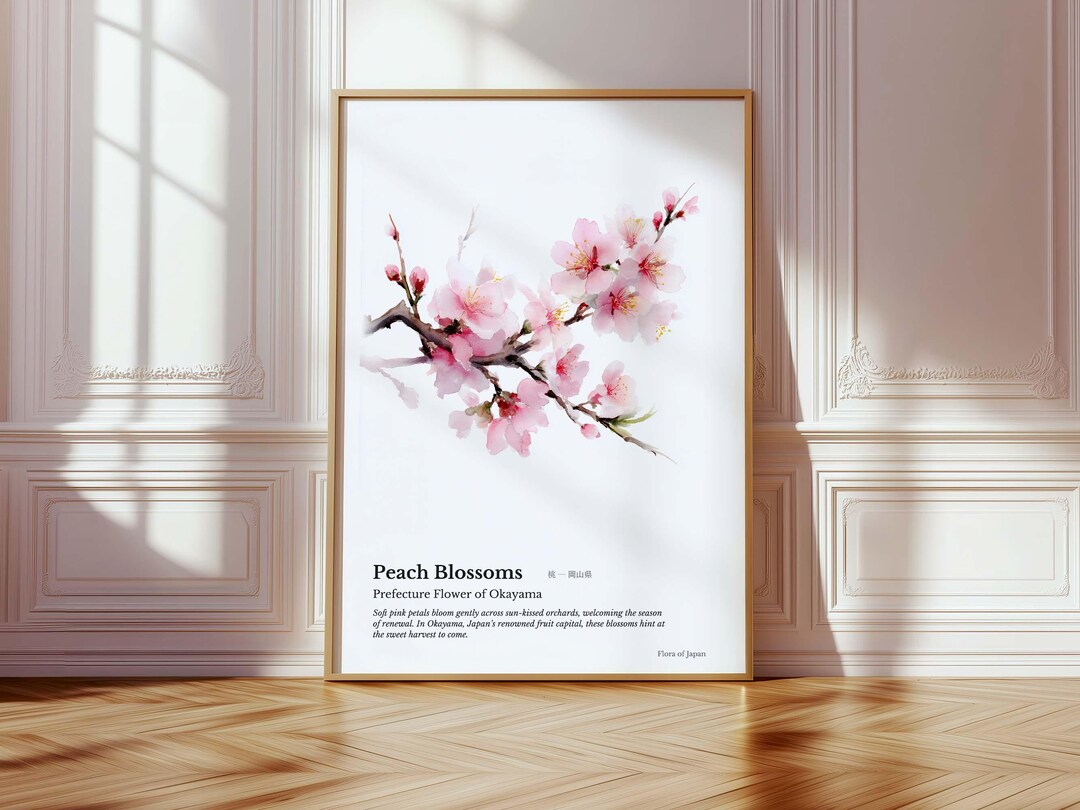 Flora of Japan – Okayama – Peach Blossoms, Watercolor Botanical Art Print,  Japanese Prefecture Flower Poster, Soft Spring Wall Decor - Etsy, image size:1080x810