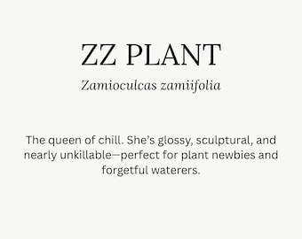 Guía de cuidado de plantas ZZ: Instrucciones imprimibles para plantas de interior (Descarga digital)