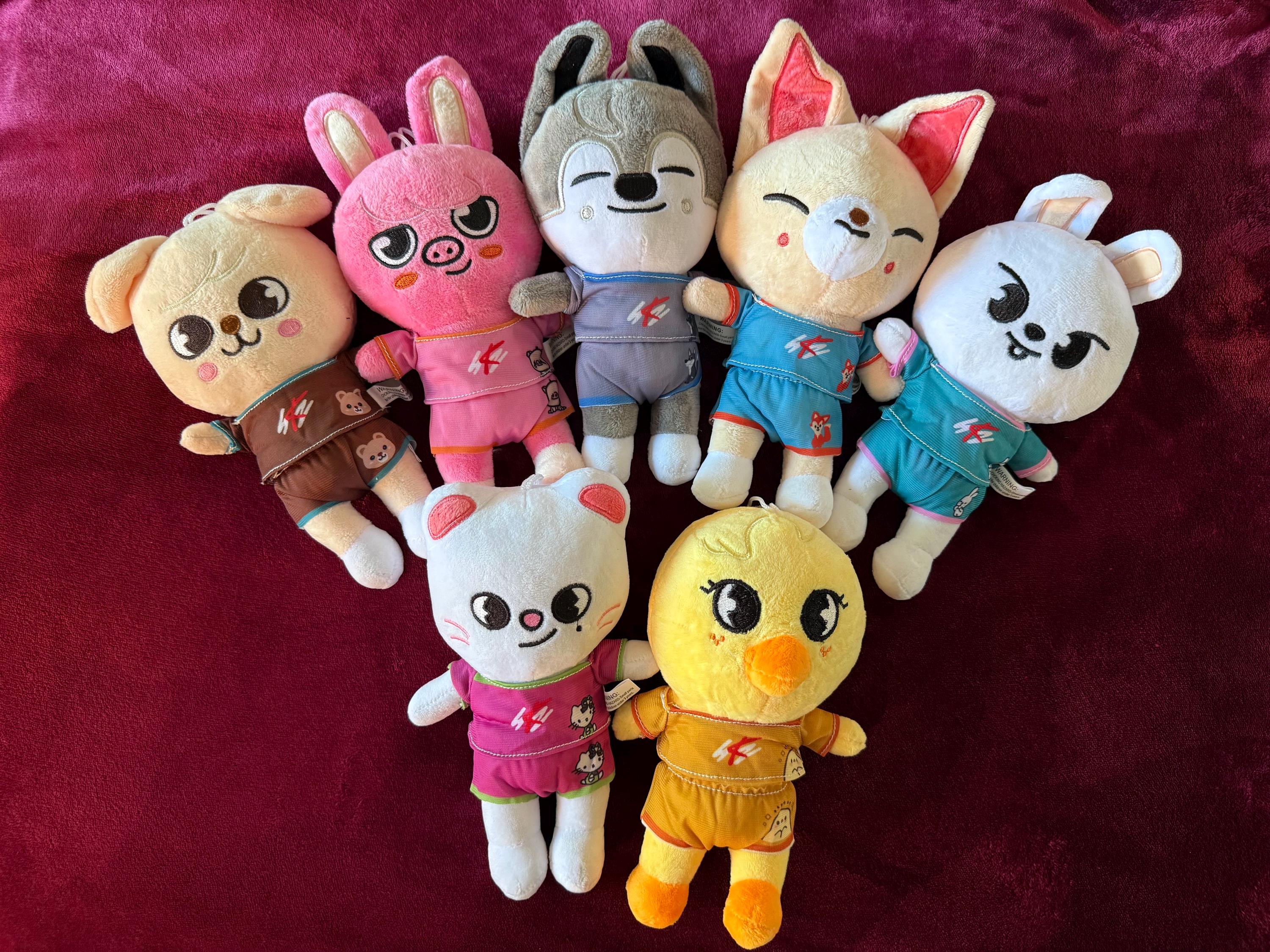 Skzoo Teddy Bear Official - Etsy