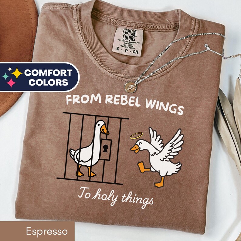 May include: Espresso-colored t-shirt with the text "FROM REBEL WINGS To holy things." The shirt features a graphic of two cartoon geese, one behind bars and the other with a halo. A silver necklace with a pendant is on the shirt.