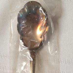 May include: A silver-plated serving spoon in a clear plastic package. The spoon has an ornate handle and a scalloped bowl with small holes. The packaging includes the text "International Silver".