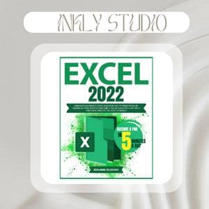 Excel 2022 Domine o Microsoft Excel e domine as 101 fórmulas mais populares do zero (Zeldovich, Benjamin) (E-Book)