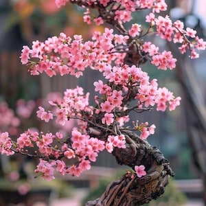 May include: A bonsai tree with vibrant pink blossoms. The tree's gnarled, brown trunk and branches contrast with the delicate, colorful flowers. The bonsai is planted in a rectangular brown pot, with green moss at the base.