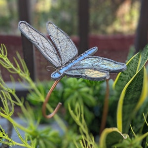 Digital Stained Glass Pattern - Garden Dragonfly • Resale Friendly