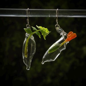 Pu&ograve; includere: Un paio di orecchini in vetro trasparente con ganci in metallo argentato. Uno contiene un piccolo rametto con foglie verdi, mentre l'altro racchiude un singolo bocciolo di fiore arancione. I contenitori in vetro hanno una forma a goccia.