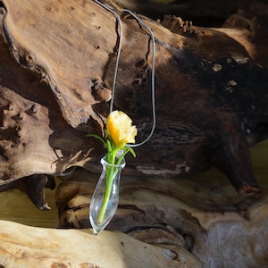 Collana portafiori, ciondolo a forma di vaso in vetro soffiato a mano, mini collana con vaso, terrario indossabile per fiori secchi, regalo per amanti delle piante immagine 6