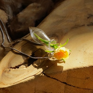 Pu&ograve; includere: Una collana con ciondolo a forma di fiala in vetro trasparente contenente un piccolo fiore giallo brillante con steli e foglie verdi. Il ciondolo &egrave; fissato a una sottile e flessibile catenina in metallo color argento, creando un gioiello delicato.