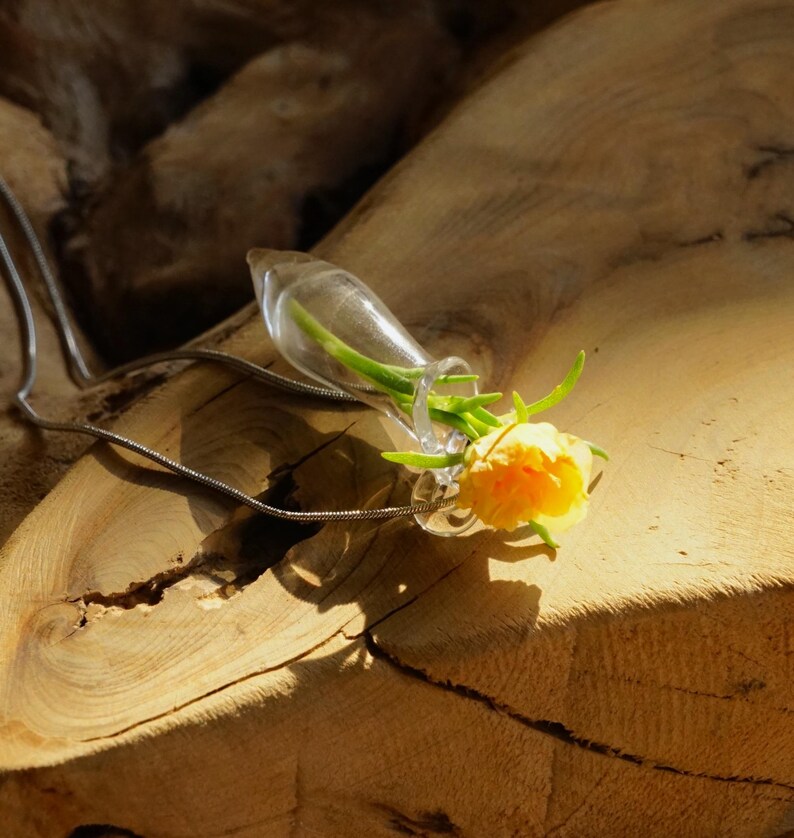 Pu&ograve; includere: Una collana con ciondolo a forma di fiala in vetro trasparente contenente un piccolo fiore giallo brillante con steli e foglie verdi. Il ciondolo &egrave; fissato a una sottile e flessibile catenina in metallo color argento, creando un gioiello delicato.