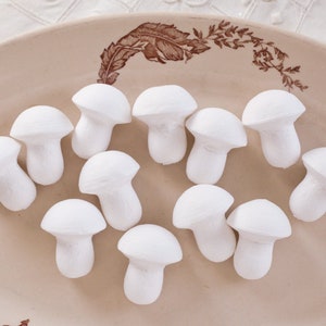 May include: A collection of white ceramic mushroom figurines on a brown and white patterned plate.