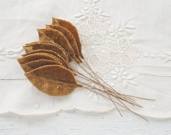 Cinnamon Brown Velvet Leaves, Large 2 1/2 Inch, 10 Pcs.