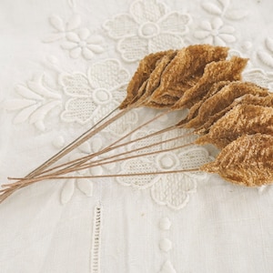 May include: A bunch of gold velvet leaves, arranged in a fan shape, on a white background.