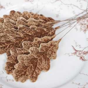 May include: A bunch of brown velvet oak leaves with wire stems. The leaves are arranged in a fan shape and have a textured surface.