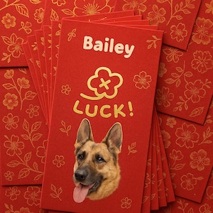 Lucky Red Packets, Golden Fortune Envelopes (8-11cm) (9-17cm) (6 pack)