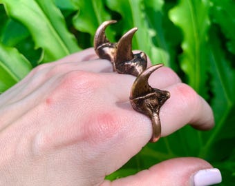 Electroformed Copper Bobcat Claw Ring – Wildlife Oddity Jewelry