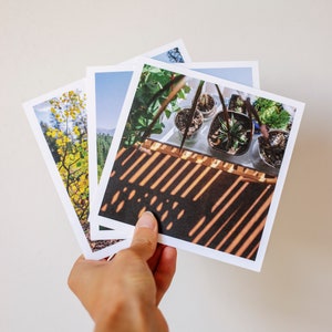 Mystery Pack 4x6 Art Print, Petits tirages, Ensemble d’impression, Cadeau amoureux de la nature, Petits cadeaux photo, Ensemble d’impression nature, Ensemble de 10 tirages, Art de bureau